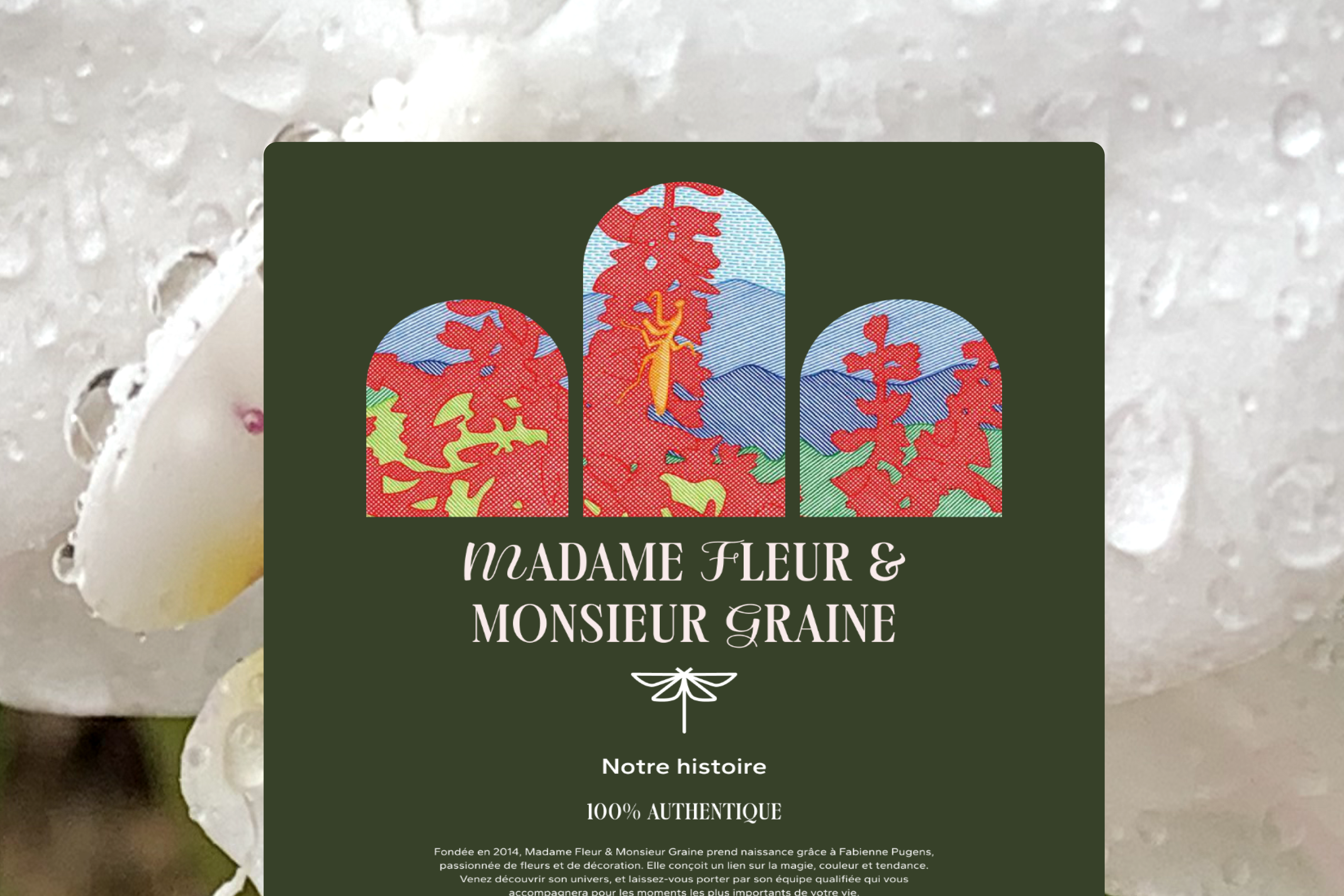 Fleurs et graines image