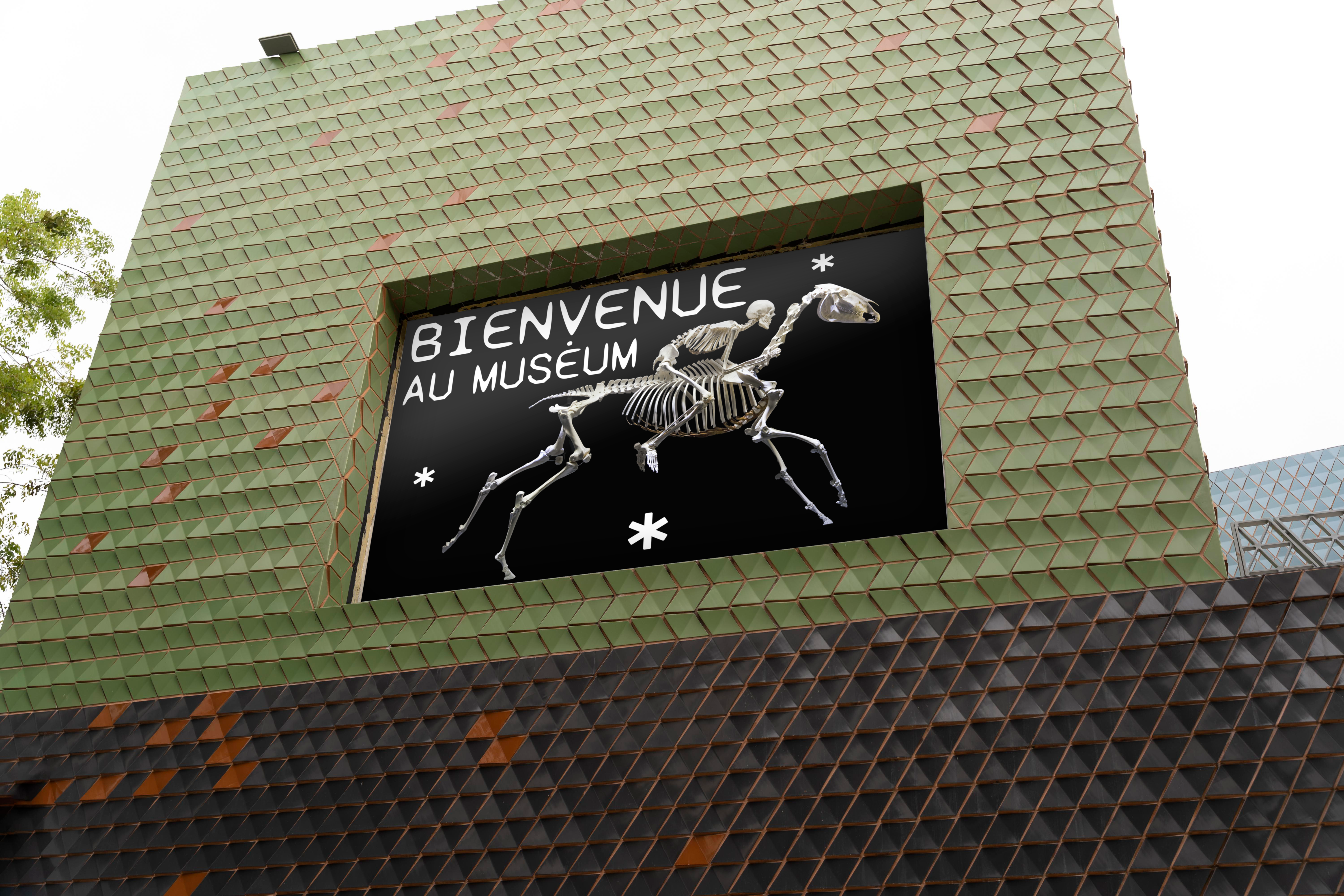 Museum Toulouse image