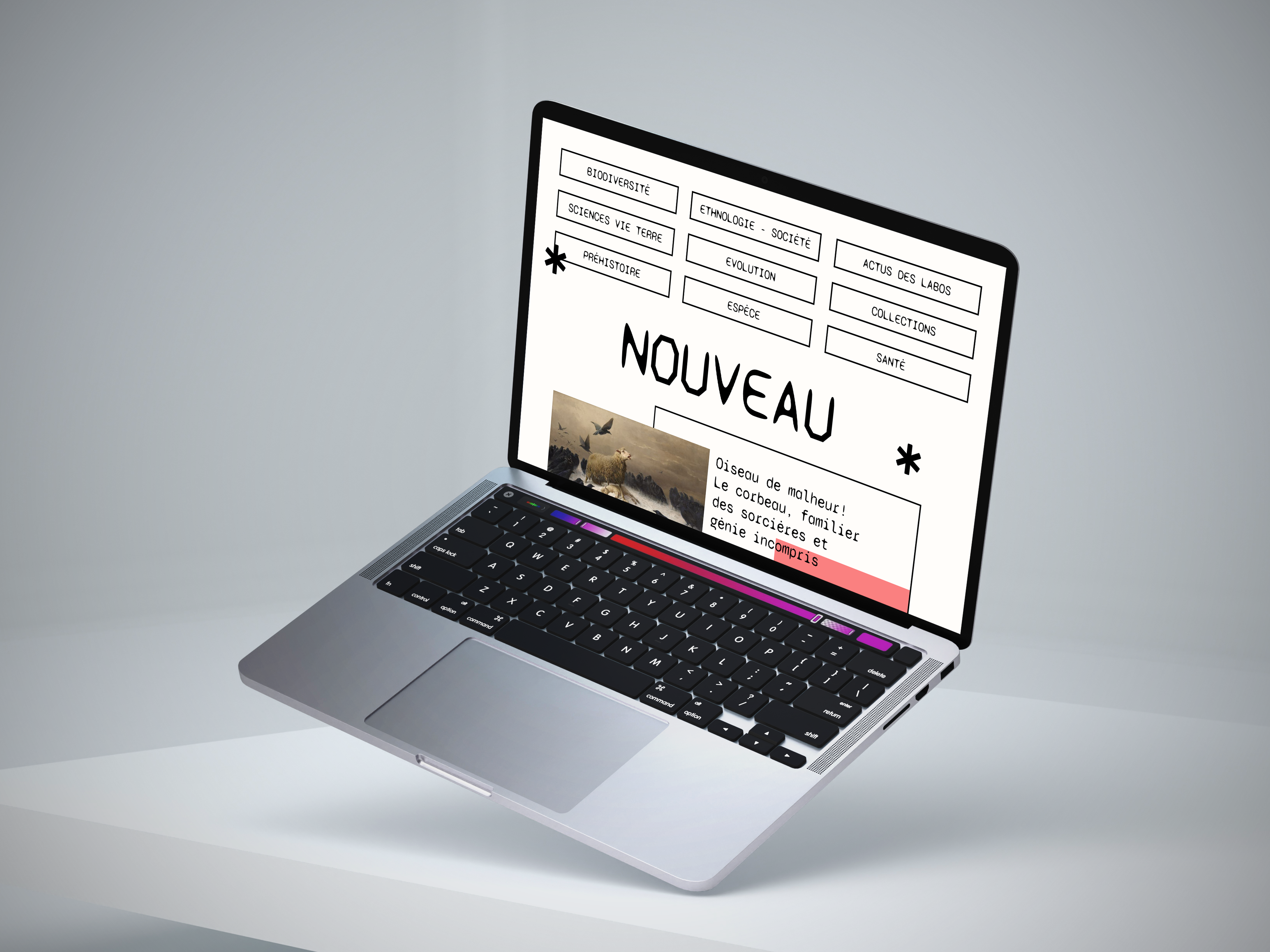 Museum Toulouse image