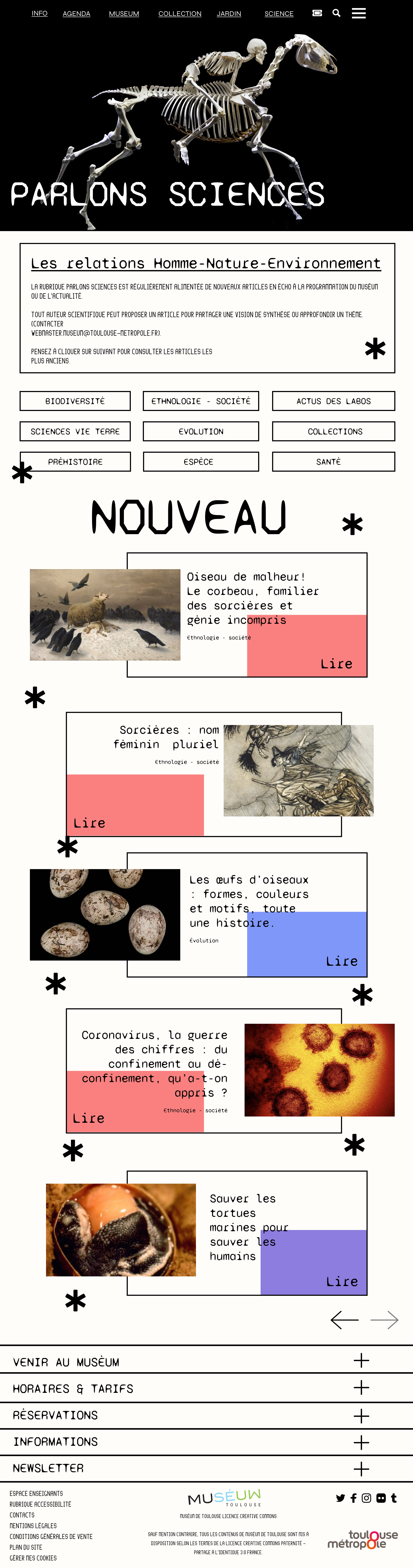 Museum Toulouse image